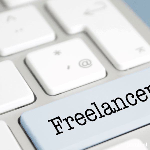 Interim of vast wat heeft jouw organisatie nu nodig blog Pienk