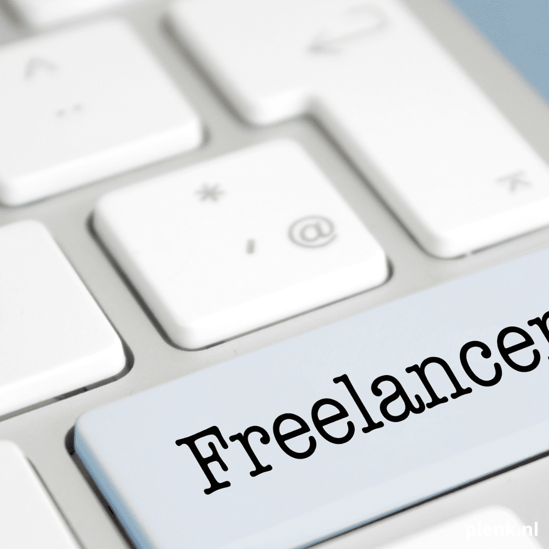 Interim of vast wat heeft jouw organisatie nu nodig blog Pienk